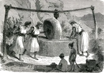 Molino de aceitunas en Argelia 1885