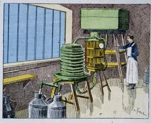 Pasteurización de la leche - grabado, finales del siglo XIX