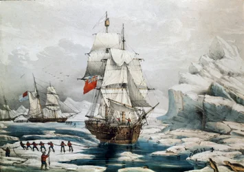 Expedición polar en el Ártico: barcos ingleses y americanos atrapados en el hielo (impresión del siglo XIX)