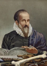 Retrato de Ambroise Paré (1509-1590), cirujano francés. de “La Ciencia y sus Hombres” de Louis Figuier. Barcelona 1881