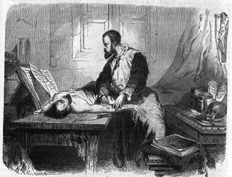 Retrato de André Vésale (1514-1564), anatomista holandés (En latín: Andrea Vesalius, holandés: Andries Van Wesel). Grabado de 1866.