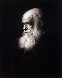 Retrato de Charles Robert Darwin (1809 - 1882)