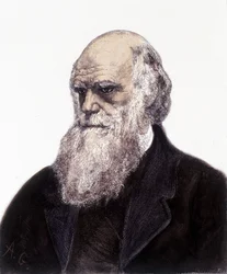 Retrato de Charles Robert Darwin, naturalista británico (1809-1882)