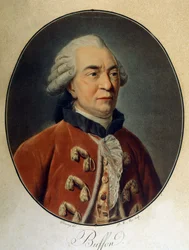 Retrato de Georges Louis Leclerc, Conde de Buffon (1707 - 1788), naturalista y escritor francés.