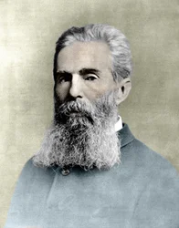 Retrato de Herman Melville (1819-1891) novelista estadounidense
