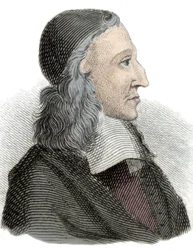 Retrato de Johan de Witt (Jean de Witt) (1625-1672), político, economista y matemático neerlandés