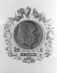 Retrato de Lamarck (1744 - 1829).