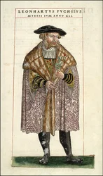 Retrato de Leonhart Fuchs: Botánico - médico alemán (1501 - 1566) - en “De Historia Stirpium commentarii badges,...” de Leonhart Fuchs