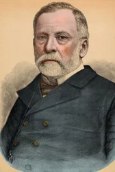 Retrato de Louis Pasteur (1822-1895), químico y biólogo francés