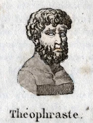 Retrato de Teofrasto (372 a.C.-287 a.C.), filósofo griego.