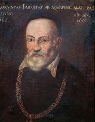 Retrato del anatomista y cirujano pionero Hieronymus Fabricius
