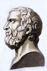 Retrato del filósofo griego Zenón de Citio (335 a.C. - 264 a.C.), fundador del estoicismo. Grabado del siglo XIX.