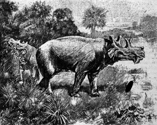 Prehistoria: representación de un dinosaurio Uintatherium de cuatro cuernos