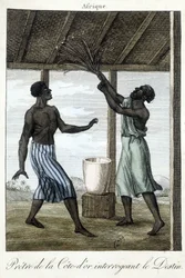 Sacerdote de la Côte d