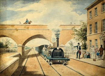 Ciervo rojo, c.1850 (acuarela sobre papel)