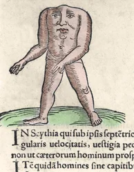 Representación de un miembro de la tribu Blemmyi en Nubia, descrito sin cabeza, sin cuello y con la cara en el tronco según Plinio el Viejo. Grabado de “Prodigiorum ac ostentorum chronicon” de Conrad Lycosthenes (1518-1561). 1557.