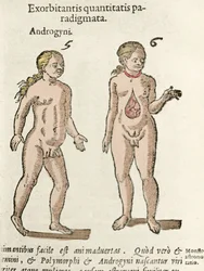 Representación de un andrógino y un hermafrodita. Lámina tomada de De natura divinis caracteris de Cornelio Gemma, 1575
