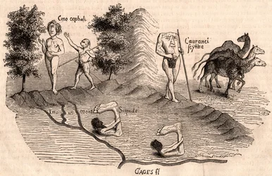 Representación de tribus medievales y especies animales: Monocules, Blemmys, Sciopodes y camellos