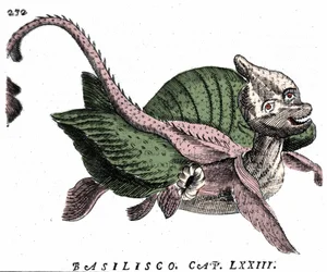 Representación del Basilisco, grabado del siglo XVII