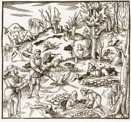 Rabdomancia - Exploración de un campo minero usando la vara adivinatoria - Hombres cortan y usan varas adivinatorias para localizar minerales - De De re metallica por Georgius Agricola (Georg Bauer), Basilea