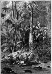 Desarrollo vial en Centroamérica: atravesando el Istmo de Panamá. Balsa descendiendo el curso del Rama. De un dibujo del oficial de la expedición del Capitán Bedford Pim. Grabado en “El Universo Ilustrado”