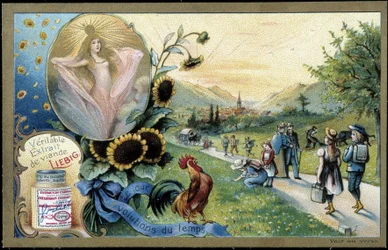 Gallo cantando al amanecer - cromo. Liébig, principios del siglo XX