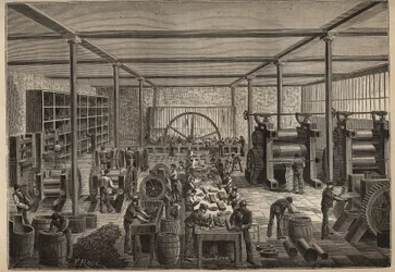 Caucho: fábrica de caucho. Grabado de 1885 en 