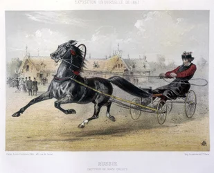 Rusia: troteador de raza Orloff - en “El Centauro” 1867