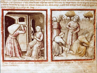 Rut y Noemí trabajando en los campos de Booz (Miniatura del códice 212 o Biblia de Padua) 1390-1400 Rovigo, Accademia dei Concordi