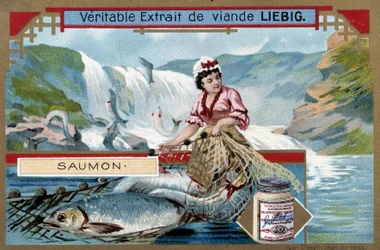 Pesca de salmón - cromo del siglo XIX.