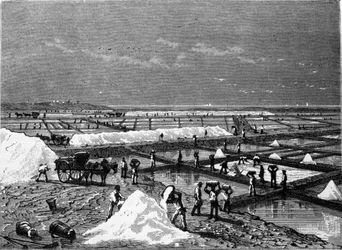 Producción de sal: vista de una salina, grabado del siglo XIX