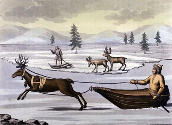 Pueblo Sami: pueblo indígena que vive en las tierras de los países del norte (Noruega, Finlandia, Suecia y Rusia) se mueve en trineo de renos o en esquís. Grabado del siglo XIX