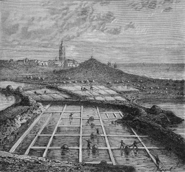 Sauneros en una marisma salina en Bourg de Batz, cerca de Croizic (Bretaña) durante el período de Saunage. En "Maravillas de la Industria" por Louis Figuier