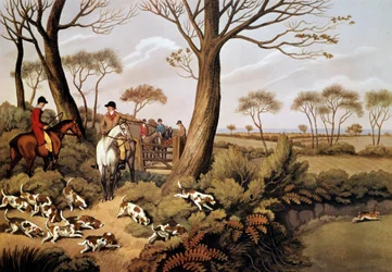 Escena de caza de liebres en Inglaterra. Litografía del siglo XIX. Gien, museo de caza