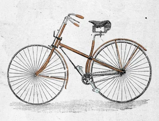 Modelo de bicicleta de cuerpo recto
