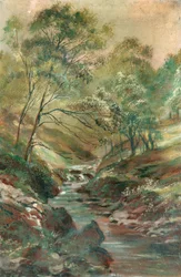 Arroyo a través de un bosque