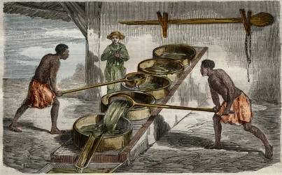 Fabricación de azúcar: calderas para cocer el jugo de la caña de azúcar en una azucarera de las Antillas. Grabado de 1859 en "Le Musee Des Sciences".