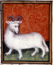 El Aries. Miniatura de un horóscopo. Manuscrito del siglo XV. Bibl. Trivulziana, Milán.