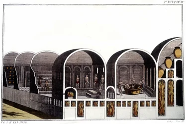 Los Baños de Caracalla en Roma. Grabado de principios del siglo XIX