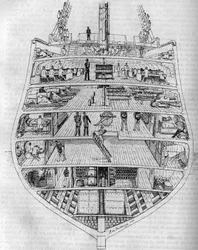 El “Borda”: sección transversal del barco. Dibujo de M. L. de Saussure. Grabado en “El diario de la juventud”