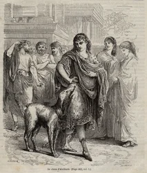 El perro de Alcibíades - El perro de Alcibíades, estadista, orador y general ateniense, 450-404 a.C. grabado de 1864