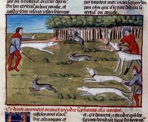 La caza de la liebre Miniatura del “Libro de la Caza” por Gaston III Phoebus, Conde de Foix, Señor de Bearn (1331-1391)