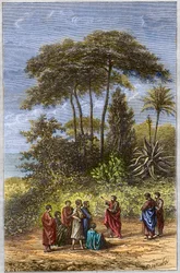 La Escuela de Pitágoras - Pitágoras entre sus discípulos en Crotona - grabado de 1879