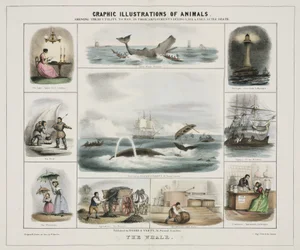 La ballena", hacia 1845