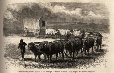 El gran buey de las llanuras y su yugo. Grabado para ilustrar el viaje al lejano oeste americano, por M. L. Simonin, en 1867, publicado en "Le tour du monde, nouveau journal des voyages", editado por Edouard Charton