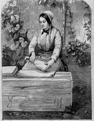 El embotellado del vino de Champagne. Grabado de 1864