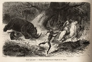 La embestida del rinoceronte que derriba y atrapa a los cazadores durante la búsqueda del autor y sus guías. Grabado para ilustrar la exploración de los afluentes abisinios del Nilo por Sir Samuel W. Baker en 1861-62, publicado en «Le Tour du monde»