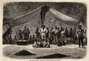 La comida común de los trabajadores después de la recolección de granos de café, que se secan en el suelo en primer plano; en el centro de la imagen, el dueño de la plantación cierra y se cubre la cabeza con un sombrero blanco. Grabado para ilustrar el via