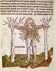 La constelación de Andrómeda (detalle)