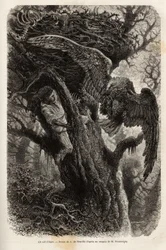 El águila protegiendo su nido del intruso. Grabado para ilustrar la historia Quatre mois en Florida, por M. Pousselgue, en 1851-1852, publicado en “Le tour du monde”, bajo la dirección de D